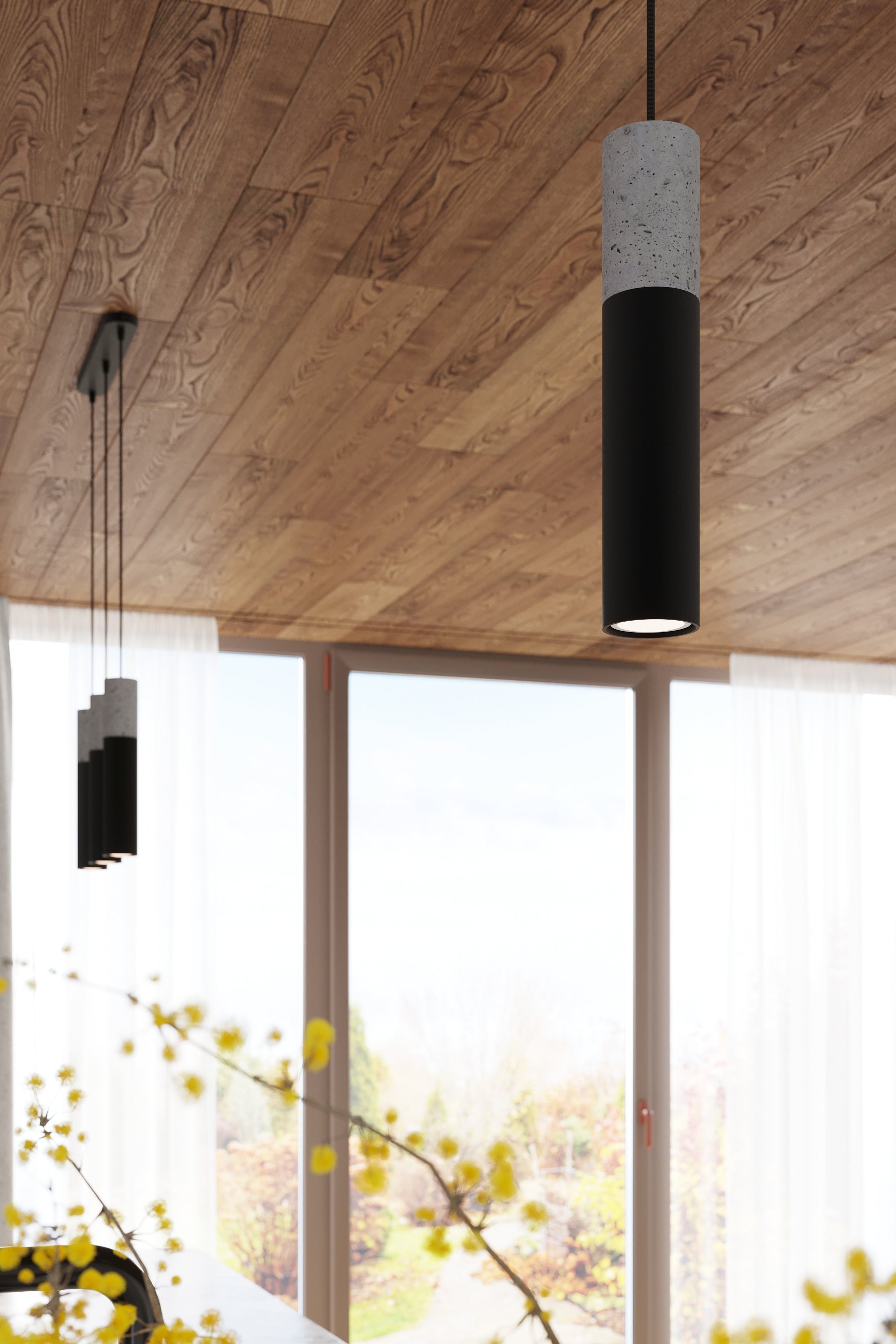 Pendant lamp BORGIO 2 black