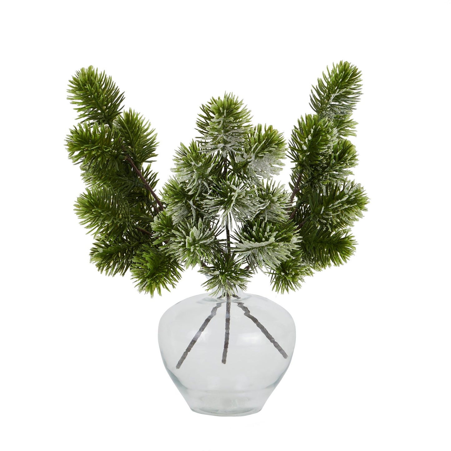 Frosted Pine Single Stem